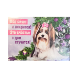 0i-00020310.png